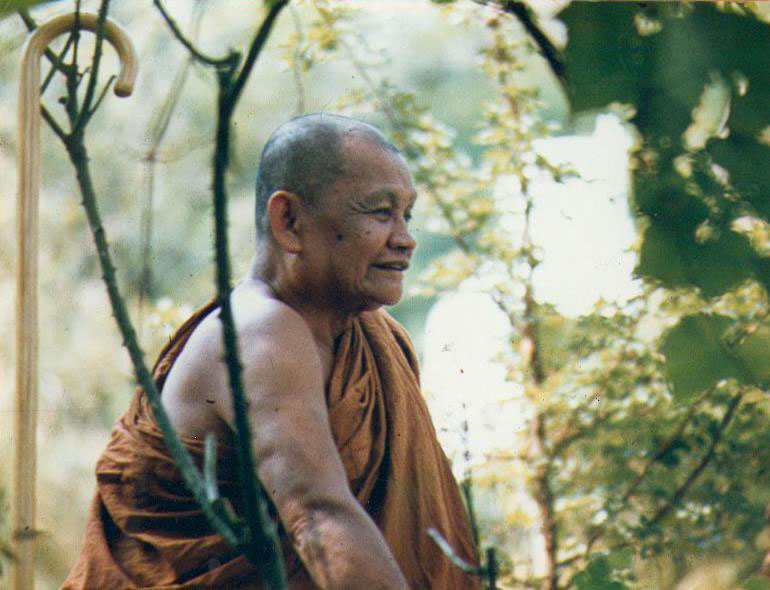 Le maître thaï Ajahn Chah (17 juin 1918 - 16 janvier 1992)
